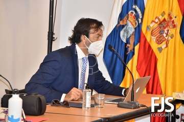 Sesión plenaria del mes de noviembre de 2020/TA y Francisco Javier Santana.